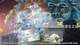 中国古生物学家通过古DNA研究揭开人类进化之谜/Chinese paleontologist unveils human evolution through ancient DNA study