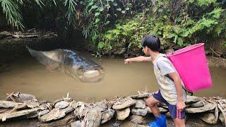 An orphan boy finds a large school of fish in a small stream and sells it to make a living, Duong