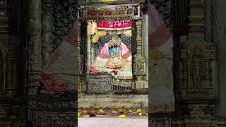 Sneh vihari Darshan Vrindawan Mathura