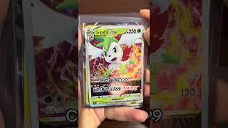 I Spent $40 on a Pokémon GOD PACK!