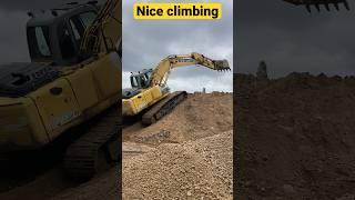 Extremely friendly climbing #shorts #constructionequipment