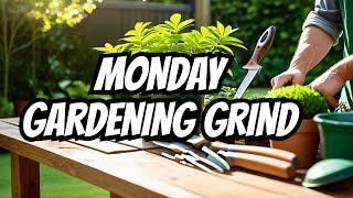 A Day in the Life: Monday at CJ Garden Services