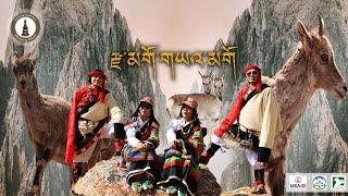 NEW TIBETAN SONG 2024 (Ngari) || རྫ་མགོ་གཡའ་མགོ ||སྒེར་རྩེ་དགེ་རྒྱས་ངག་གླུ།  DZA-GO-YAGO