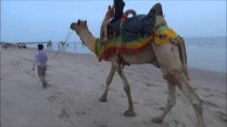 Evening and Morning at Mandvi Beach - Bhuj,Gujarat