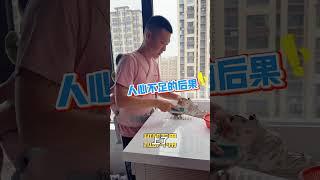 人心不足，非要三胎，这下好了，满意了！ #三胞胎 #Vlog日常