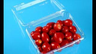 Cherry Tomato Blue Berry Weighing Filling Packing in Plastic Clamshell Tray Punnet