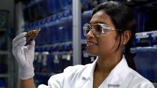 Queensland Women in STEM 2021 - Dr Himaya Siddhihalu Wickrama Hewage