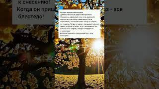красавчик кафельщик #жизненныеистории #короткиеистории #реальныеистории