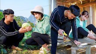 Ly Tieu Huong in trouble - engineer Binh helps Huong build a new life
