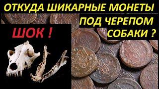 ШОК !ОТКУДА ШИКАРНЫЕ МОНЕТЫ ПОД ЧЕРЕПОМ СОБАКИ ?