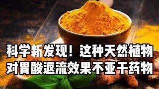 科学新发现，这种天然食物对胃酸返流的疗效不亚于药物