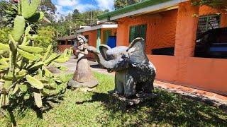  Bela Chácara à Venda Em Juquitiba SP/ área de 7.000 m² / Ótimo Local/ Valor: 370.000,00