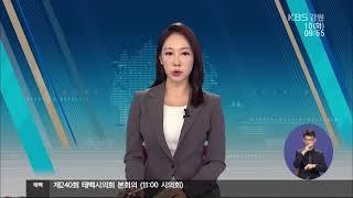 강릉KBS뉴스님의 실시간 스트리밍