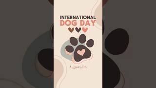 Happy International Dog Day Everyone #internationaldogday #dogs #cute