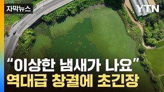 [자막뉴스] '살인 폭염'에 속수무책 확산 …정부도 "상황 심상치 않다" / YTN