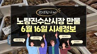 6월 16일 노량진수산시장 만물 (패류031) 시세정보 입니다. 35년 경력으로 믿고 찾아주세요