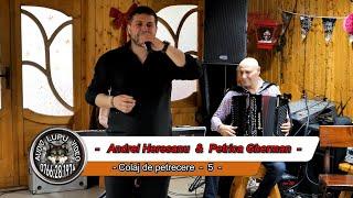 Andrei Heresanu & Petrica Gherman - Balada lui Codin - Colaj de petrecere - 5 -