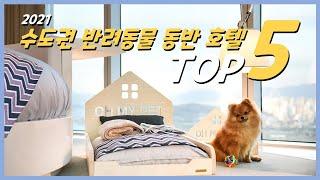 반려견 동반 호텔 어디가지?  올해 여름 휴가로 꼭 고민해야 할 수도권 호텔 TOP 5 !