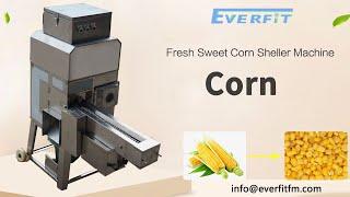 Fresh Sweet Corn Sheller Machine for Sale,waxy #corn thresher machine ,#Corn