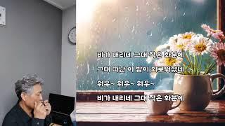 그대 작은화분에 비가 내리네 - 배따라기 #트레몰로하모니카 #D키