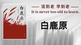 好书解读：《白鹿原》女性最好的活法，是向内安放、向外伸展、向上追求 【书海拾慧】