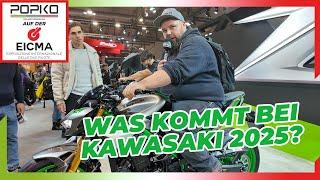 EICMA 2024 Kawasaki Modell Neuheiten vom Messestand • Rundgang mit dem Werkstattmeister - EICMA News