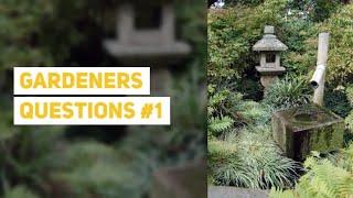 Gardeners Questions & Answers #1