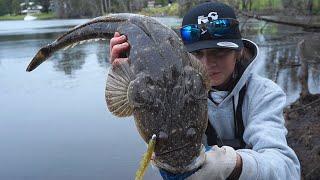 This Lure Catches Fish (Sand Flat Giant)