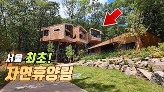 드디어 공개! 서울 최초 자연휴양림 ️ '수락 휴'를 가보았습니다. ｜트리하우스·사찰·숲속 걷기 코스