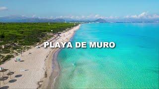 Playa de Muro 4K Cinematic Video | Mallorca