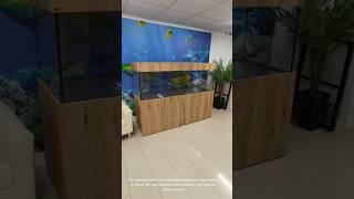 Custom Aquariu Manufacturers #aquarium #fishtank #tropicalfishtank