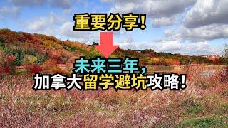 重要分享！未来三年加拿大留学避坑攻略！｜加拿大移民｜留学移民｜新移民｜#S哥聊枫叶国