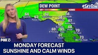 Tampa weather | Sunshine and calm winds