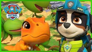 Los cachorros salvan a un T-Rex - PAW Patrol Episodio Español - Patrulla de Cachorros