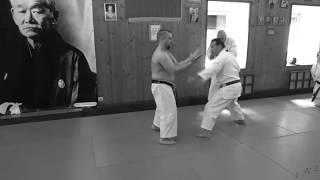 Documentary. Evgeny Rybin and Dell Hamby. Uechi ryu Sanchin Kitae / 24.06.2017