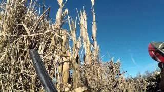 Duck Hunt - Duck Hole - Freeze Day 1-8-15