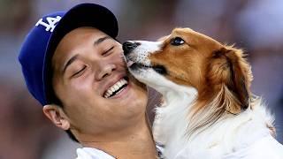 Shohei Ohtani's dog Decoy steals show by becoming first dog to deliver MLB first pitch