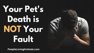 Your Pet's Death is Not Your Fault  #petloss  | Pet Grief | Dog Loss | Cat Loss | Pet Death Guilt