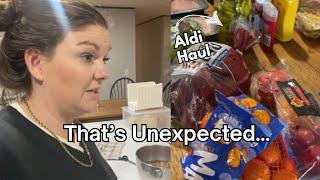 Never a Dull Moment (Aldi Haul) | Large Family Vlog