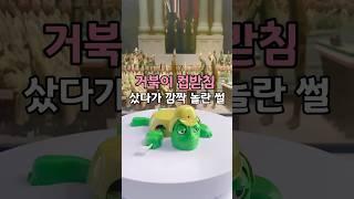 거북이 컵받침 샀다가  깜짝 놀란 썰 #거북이컵받침 #경악거북이 #신기한컵받침 #재미있는컵받침