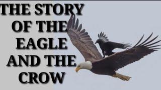 A Powerful Story About Rising Above Negativity (THE EAGLE and CROW)#EagleandCrow #GOHIGHER