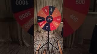 spin and win