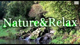 Relaxing Nature Sounds Lake Waterfalls, Wind, Bird Songs. Sleep, Relaxation and Meditation 