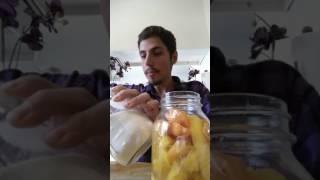 Basic Fermentation Recipes, Skills, and Warnings