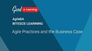 AgileBA: Agile Practices and the Business Case (Agile Business Analyst)