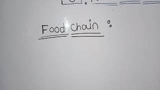 Science lesson "Paws and Wings"(Food Chain) Grade- 3