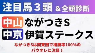 【2024ながつきS/伊賀S】競馬予想｜ながつきSは関東圏で複勝率100％のパウオレに注目！