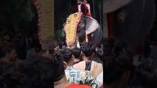 Culture Capital of Kerala  2025 video #dailylife #travel