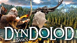 DynDOLOD || Basics || MO2 & Vortex || Skyrim Mods