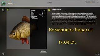 рр4! Комариное Карась! Фарм для новичков!